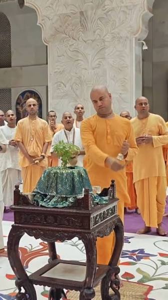 Tulsi Aarti ISKCON — Lyrics, Meaning, Vidhi and Benefits